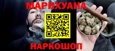 СК Гатчина